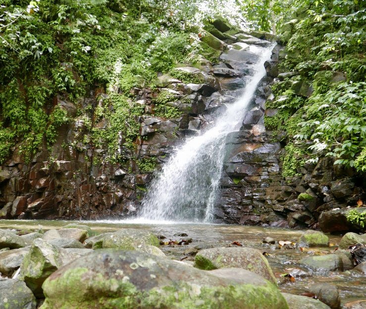 Enbas Saut Falls Trail, Edmund Forest Reserve, Central St. Lucia, Saint Lucia